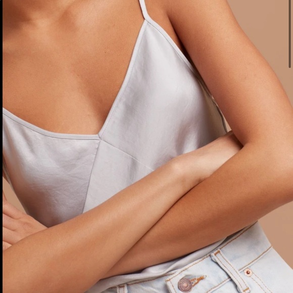 Wilfred free Shelby Camisole in Canyon Rose - Picture 2 of 4